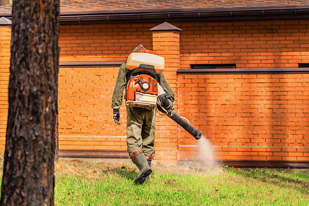 Trusted Cockroach Control service in Mountain View Ranches, AZ - Nex Pest Control